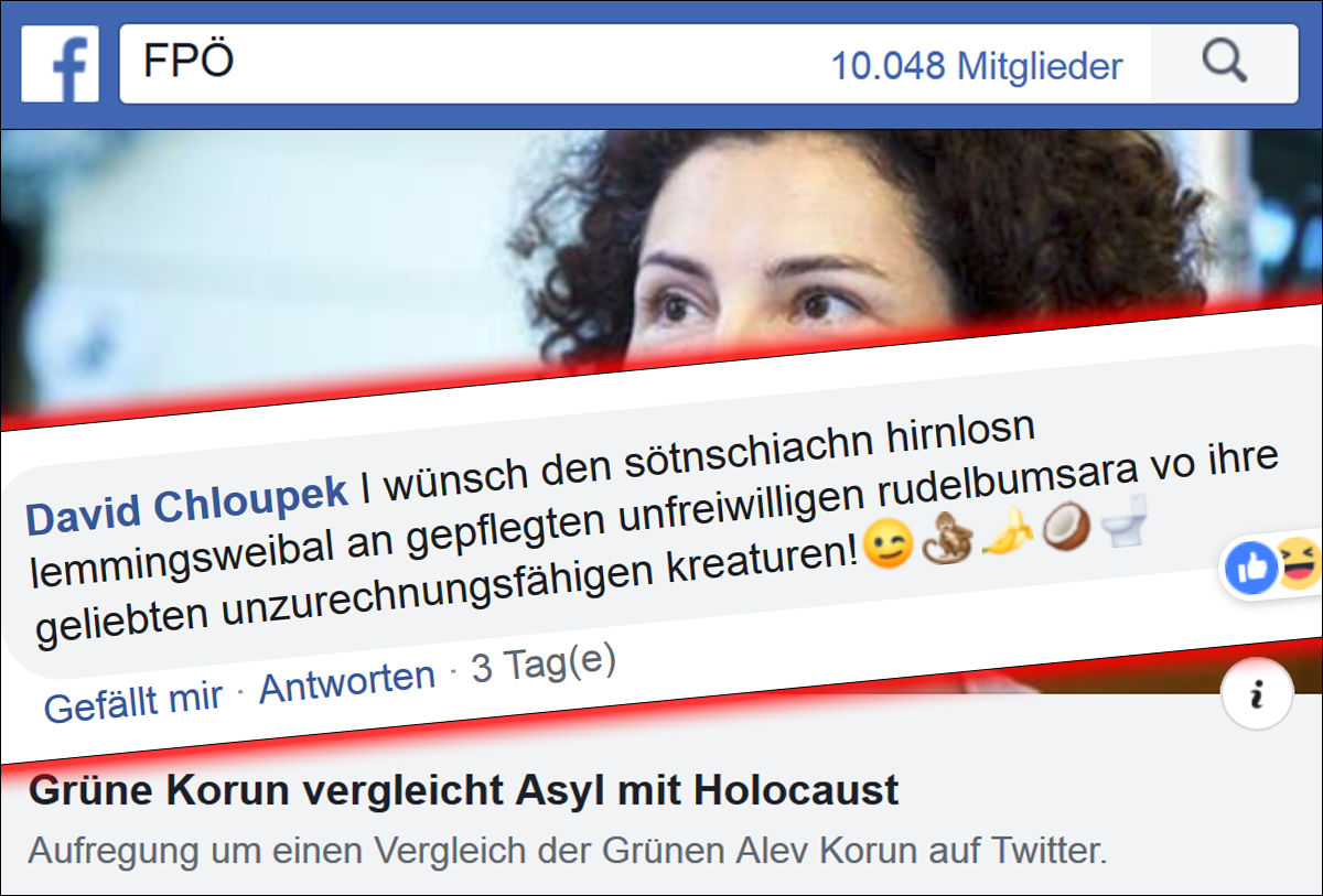 FPÖ-Gruppe: Gruppenvergewaltigungswünsche für Alev Korun (Grüne) von FPÖ-Funktionär