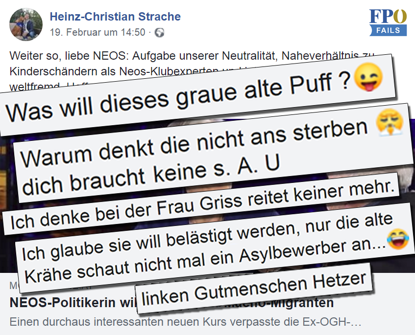 Auf Straches Privatprofil wird gegen Irmgard Griss gehetzt. Gelöscht wird nicht.