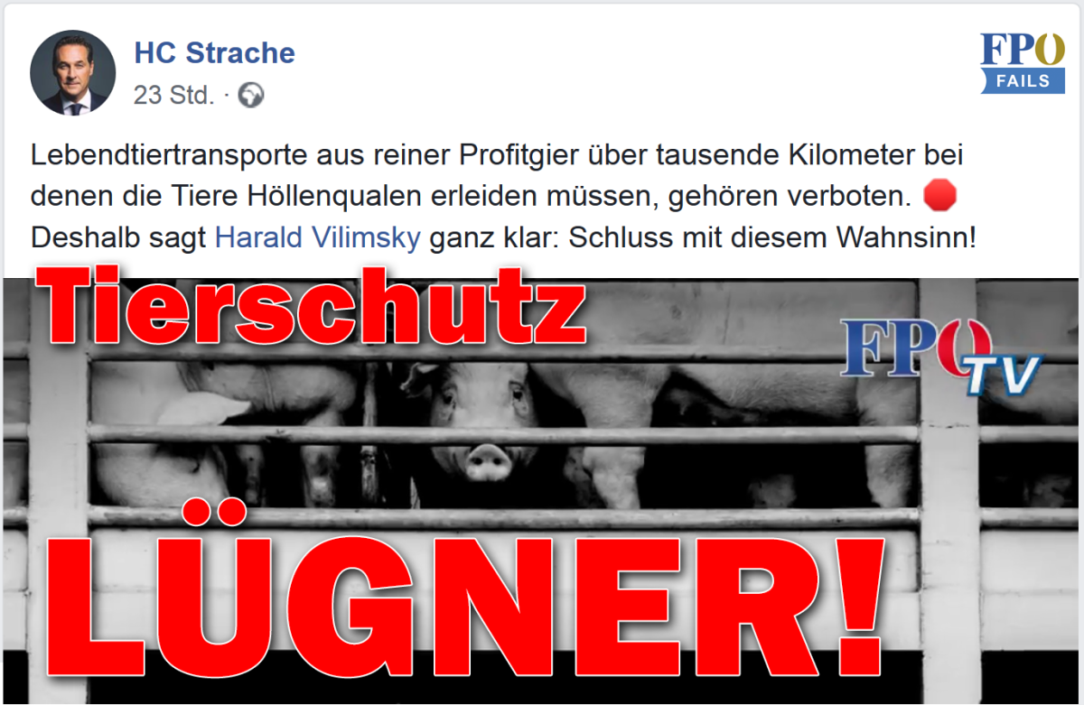 FPÖ: Die Tierschutzlügner stimmen GEGEN Kontrolle und Verkürzungen von Tiertransporten