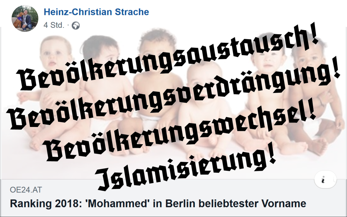 Wie Strache einen FakeNews-Titel als Beweis für „Bevölkerungsaustausch“-Hetze nutzt